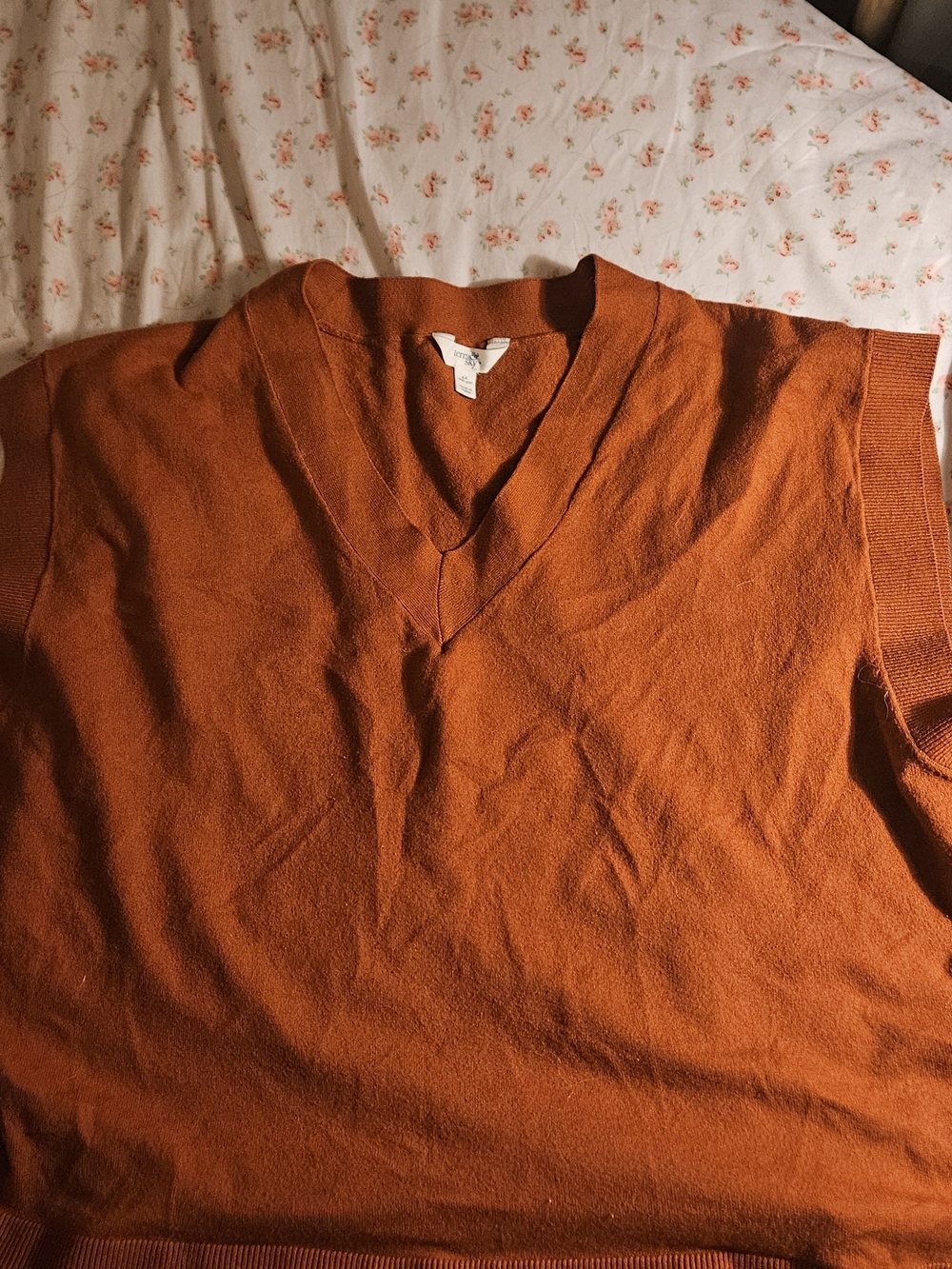 Terra & Sky Women's V-Neck Sweater Vest in Rust Orange